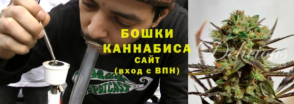 мдпв Лиски