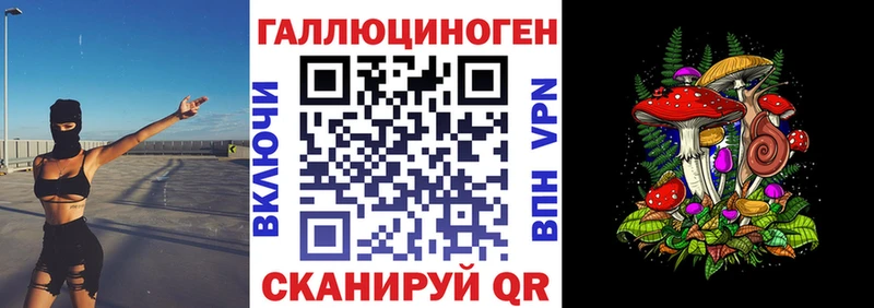 закладки  Щёкино  Галлюциногенные грибы MAGIC MUSHROOMS 