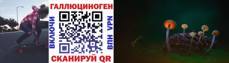 Псилоцибиновые грибы Psilocybe Щёкино